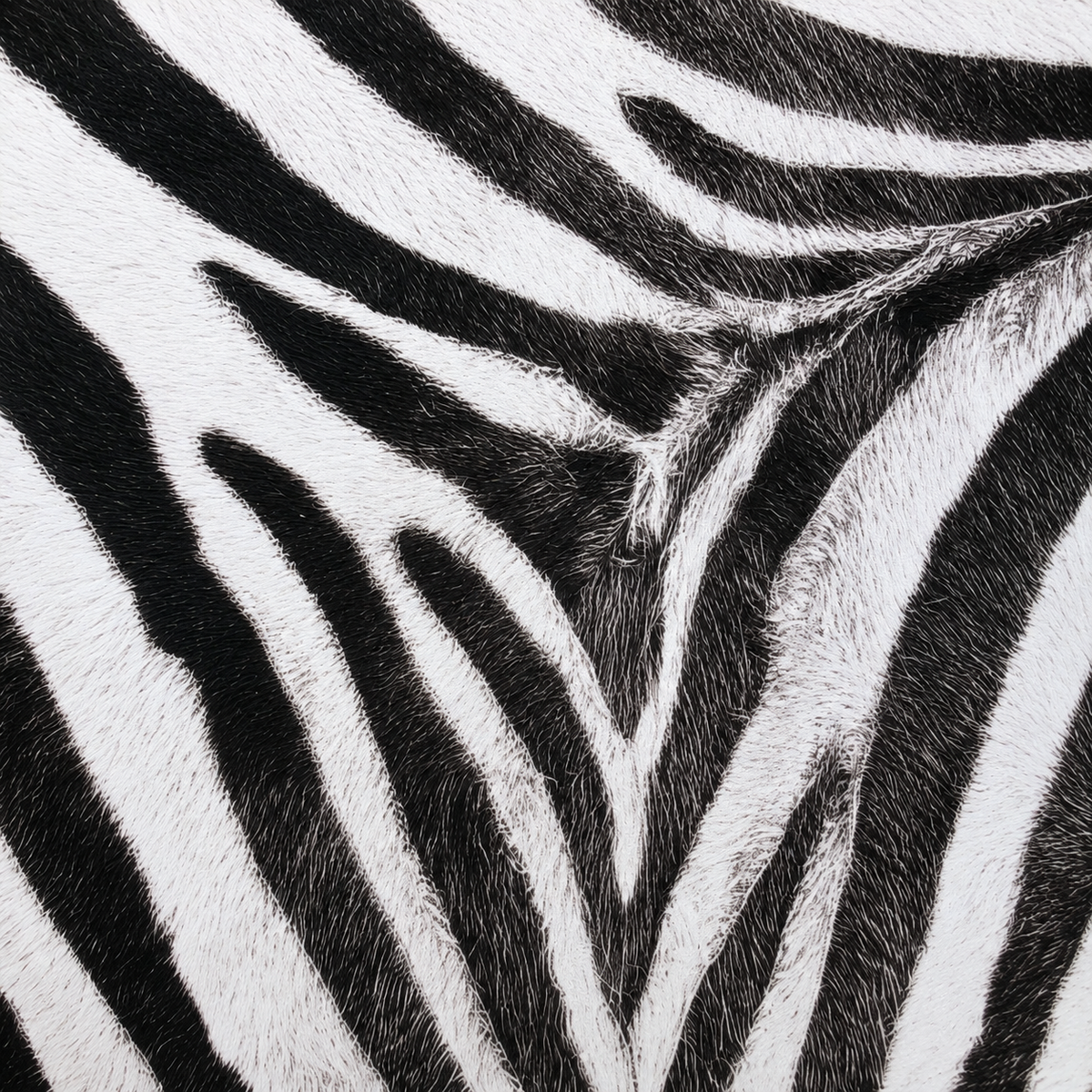 Zebra Noir Safari Club Collection 33" Premium Mahjong Mat