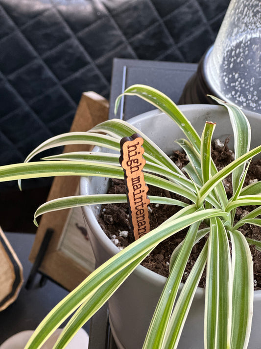 Punny Plant Stakes