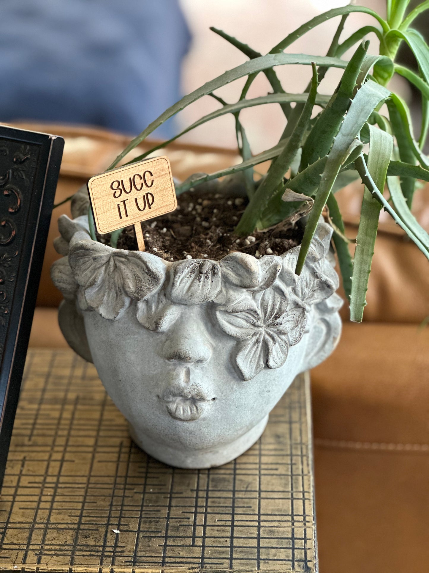 Funny Plant Signs