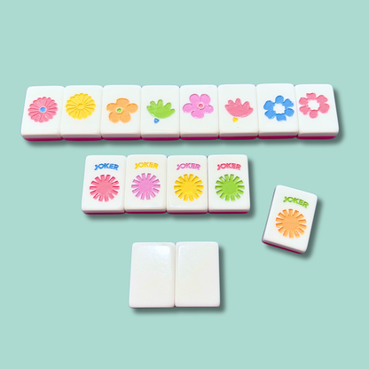 Heirloom Engraved Mahjong Tile Set - Modern + Bright Collection